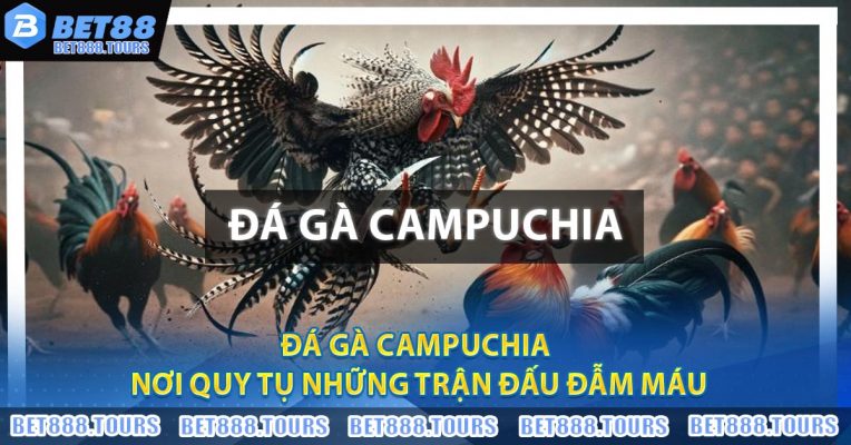 ĐÁ GÀ - BET88