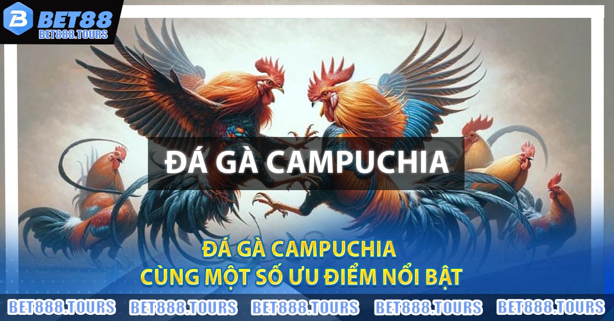 Đá Gà Campuchia - Nơi Quy Tụ Những Trận Đấu Đẫm Máu #1