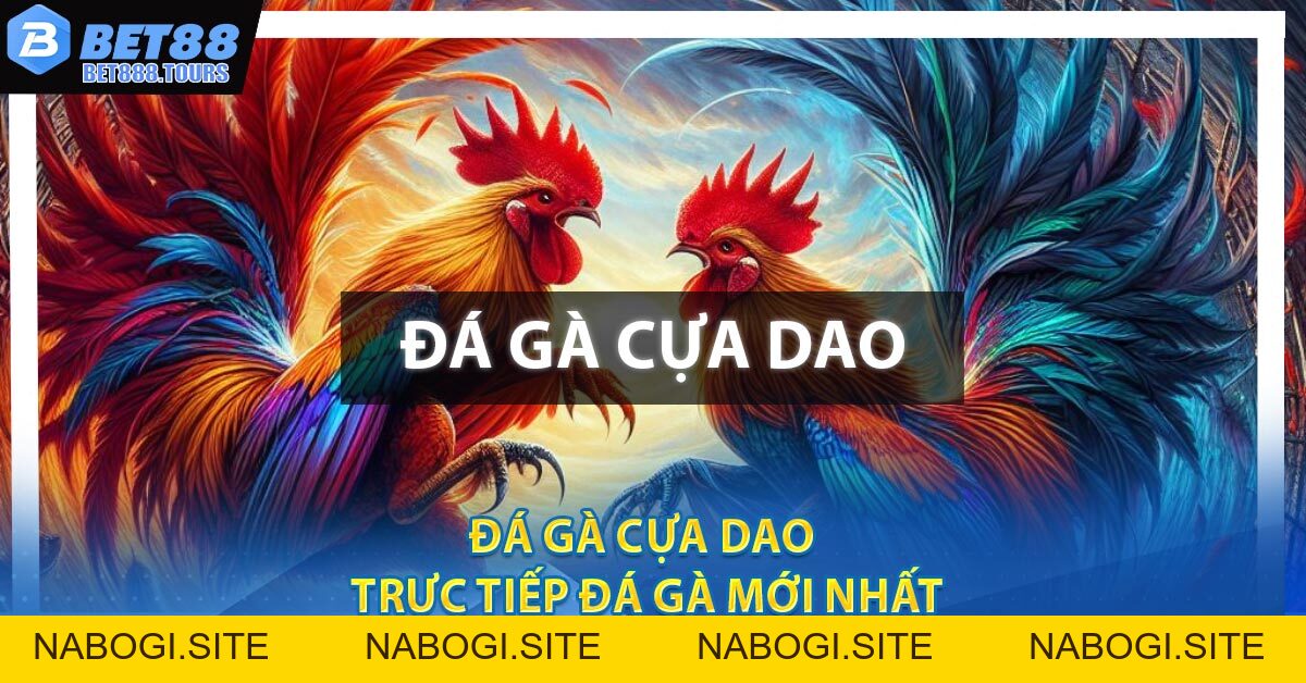 Đá Gà Cựa Dao - Trực Tiếp Đá Gà Mới Nhất 2026