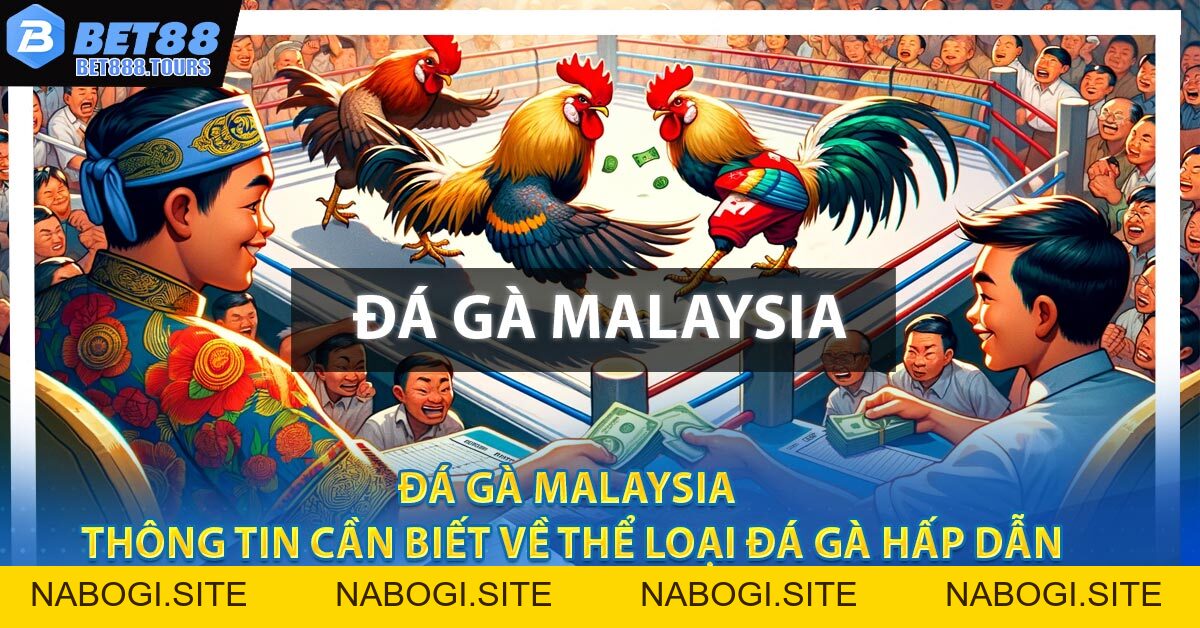 Đá Gà Malaysia - Thông Tin Cần Biết Về Thể Loại Đá Gà Hấp Dẫn #1