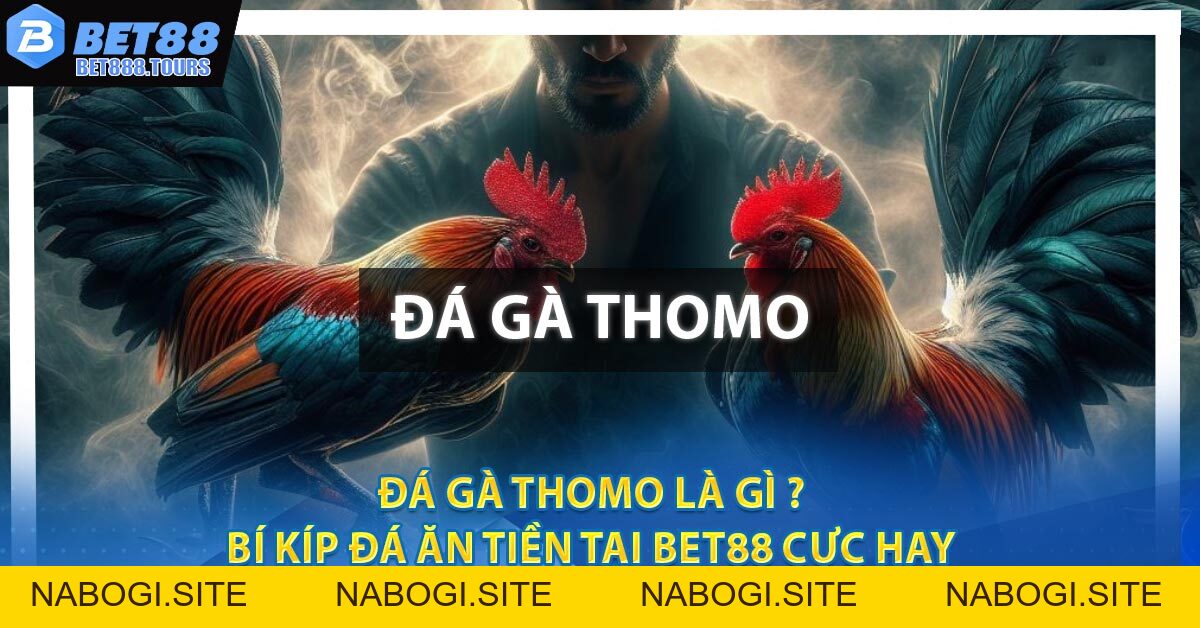 Đá Gà Thomo Là Gì ? Bí Kíp Đá Ăn Tiền Tại BET88 Cực Hay