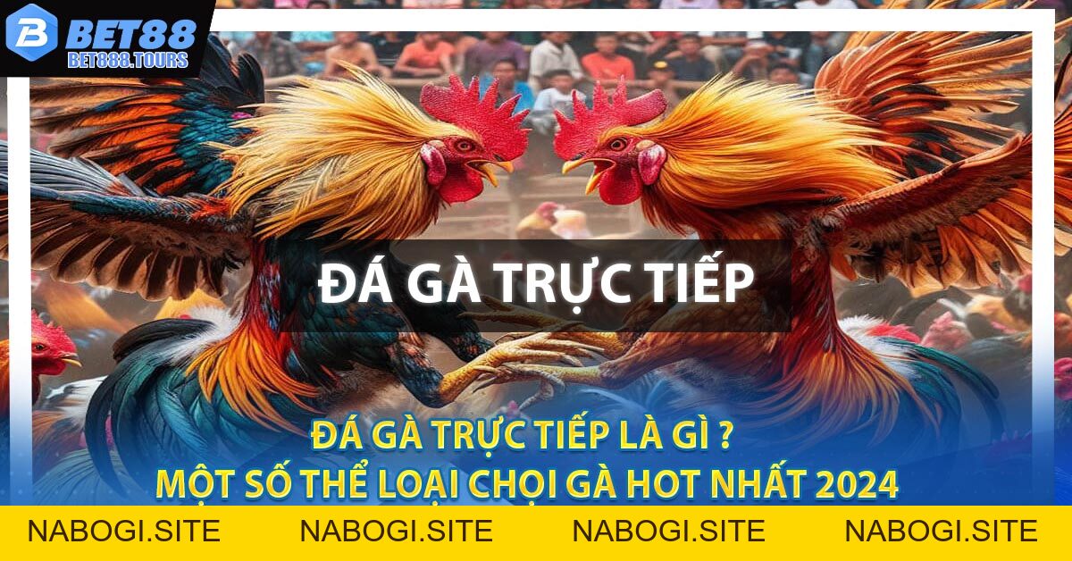 Đá Gà Trực Tiếp Là Gì ? Một Số Thể Loại Chọi Gà Hot Nhất 2026