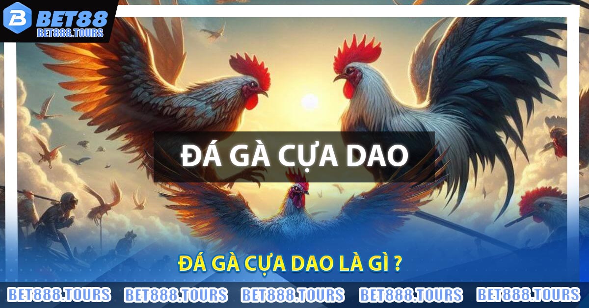 Đá Gà Cựa Dao - Trực Tiếp Đá Gà Mới Nhất 2026