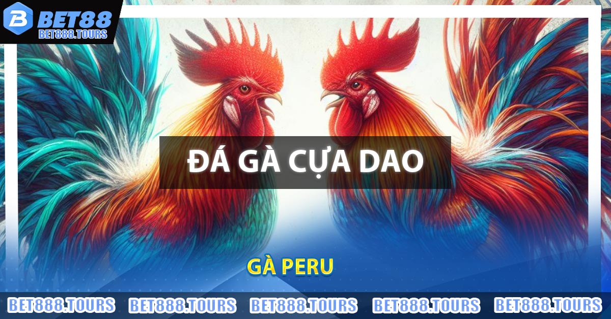 Đá Gà Cựa Dao - Trực Tiếp Đá Gà Mới Nhất 2026