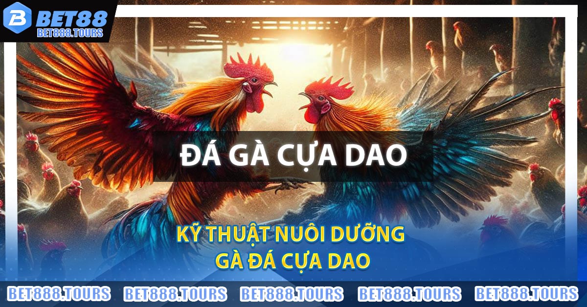 Đá Gà Cựa Dao - Trực Tiếp Đá Gà Mới Nhất 2026