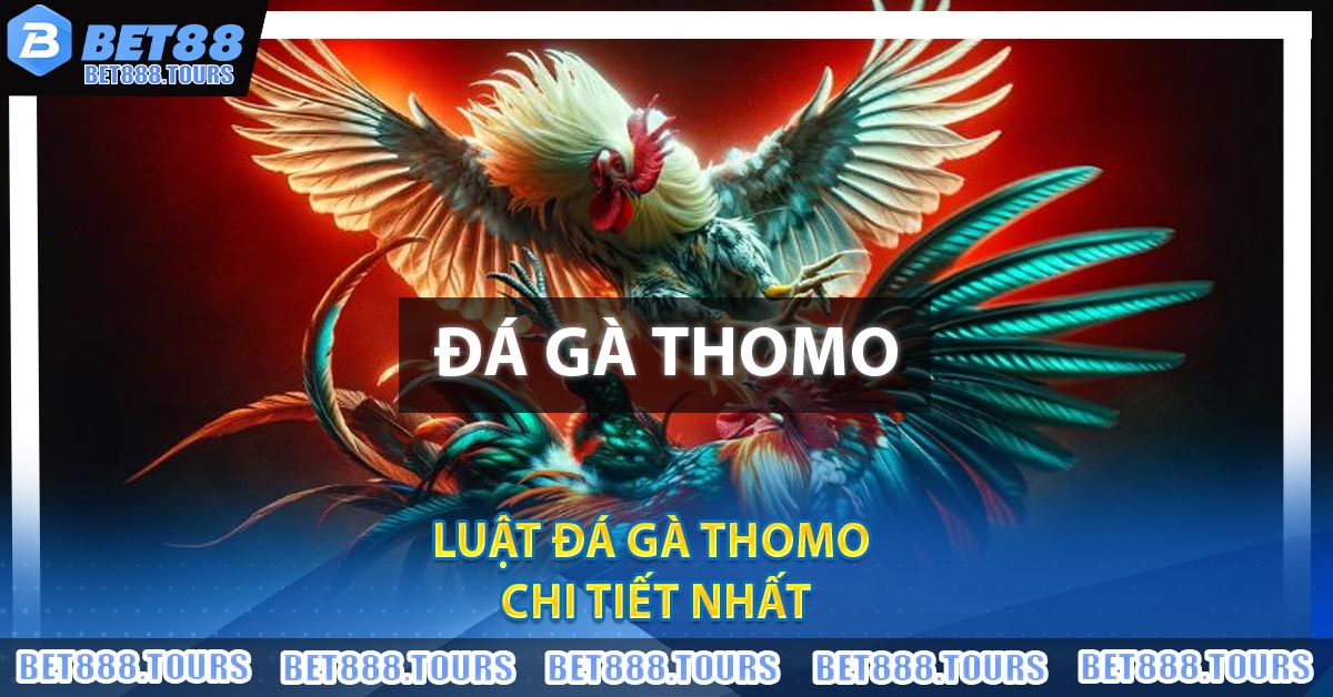 Đá Gà Thomo Là Gì ? Bí Kíp Đá Ăn Tiền Tại BET88 Cực Hay