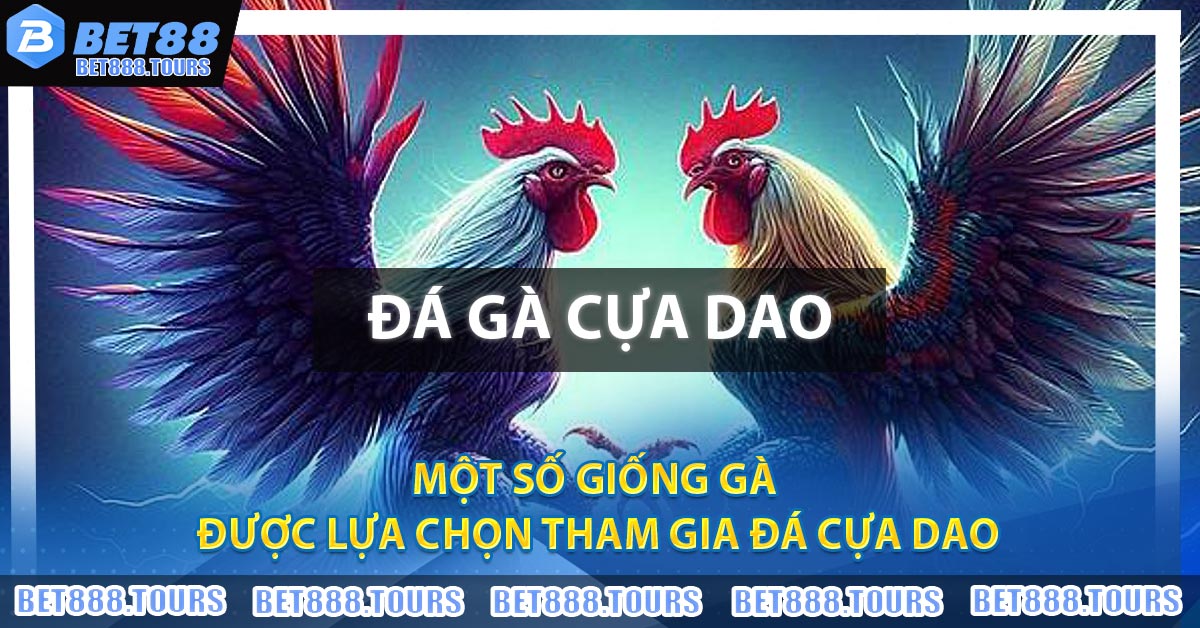 Đá Gà Cựa Dao - Trực Tiếp Đá Gà Mới Nhất 2026
