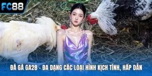 Đá Gà FC88 – Trận Đá Gà Kịch Tính Thắng Lớn Dễ Dàng