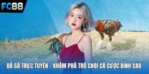 Đá Gà FC88 – Trận Đá Gà Kịch Tính Thắng Lớn Dễ Dàng