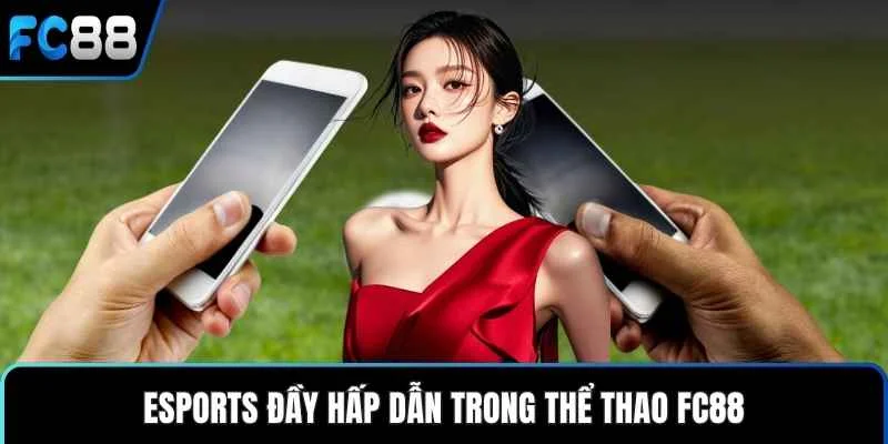 Thể Thao FC88 – Trải Nghiệm Cá Cược Đa Dạng Chuẩn Xác