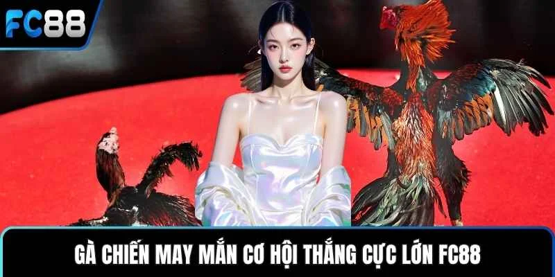 Đá Gà FC88 – Trận Đá Gà Kịch Tính Thắng Lớn Dễ Dàng