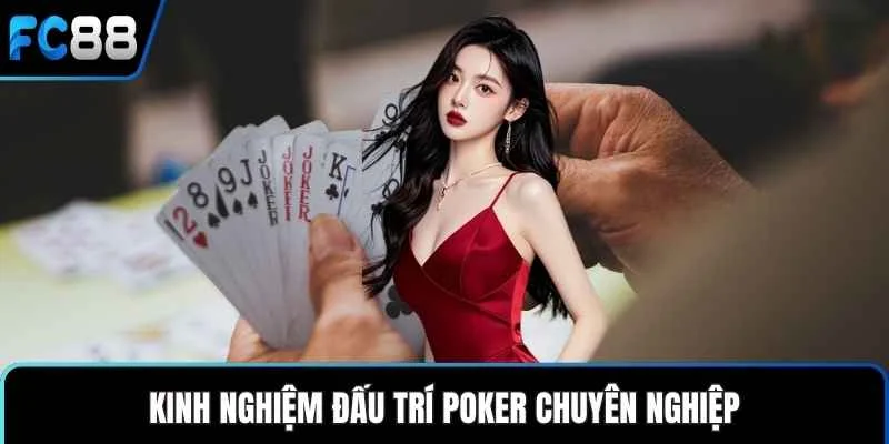 Sòng Bài FC88 – Trải Nghiệm Cá Cược Trực Tuyến Đỉnh Cao